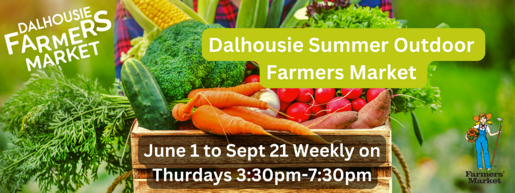 Dalhousie Community Association